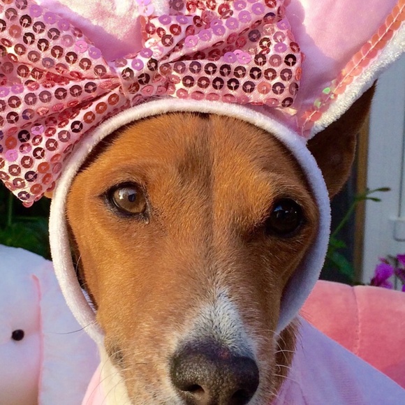 NO clowning around.... - Picture 13 of 16